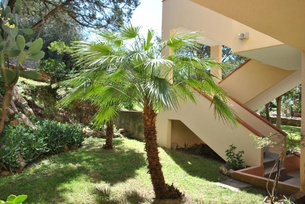 Sa Jaga Brujada Residence - Simar Vacanze Porto Rotondo Eksteriør billede